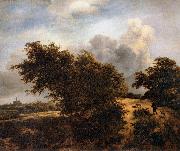 RUISDAEL, Jacob Isaackszon van The Thicket oil painting reproduction